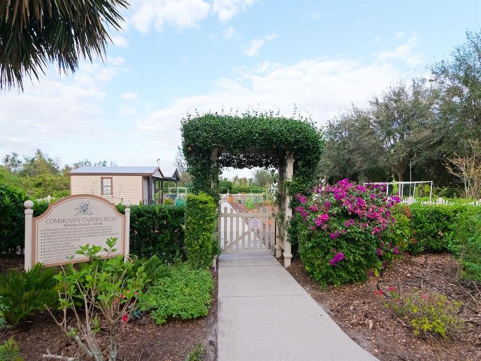 Private Community garden with reserved boxes