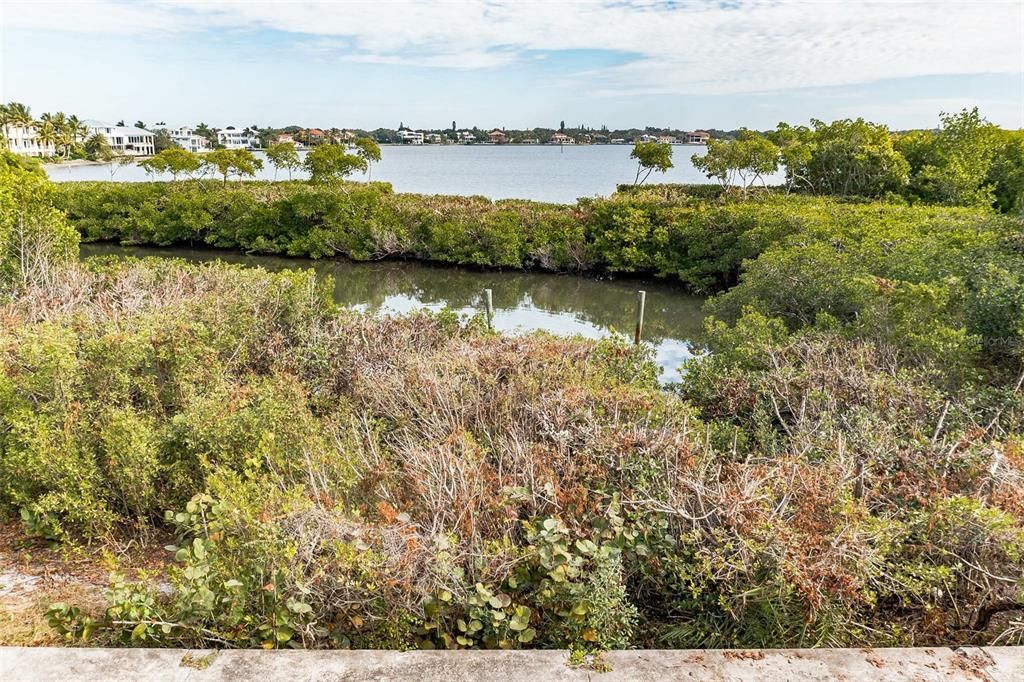 View from your new home 25 feet above ground level.