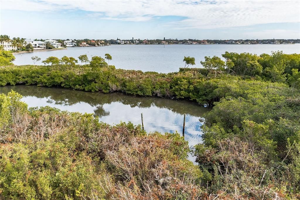 View from your new home 45 feet above ground level.