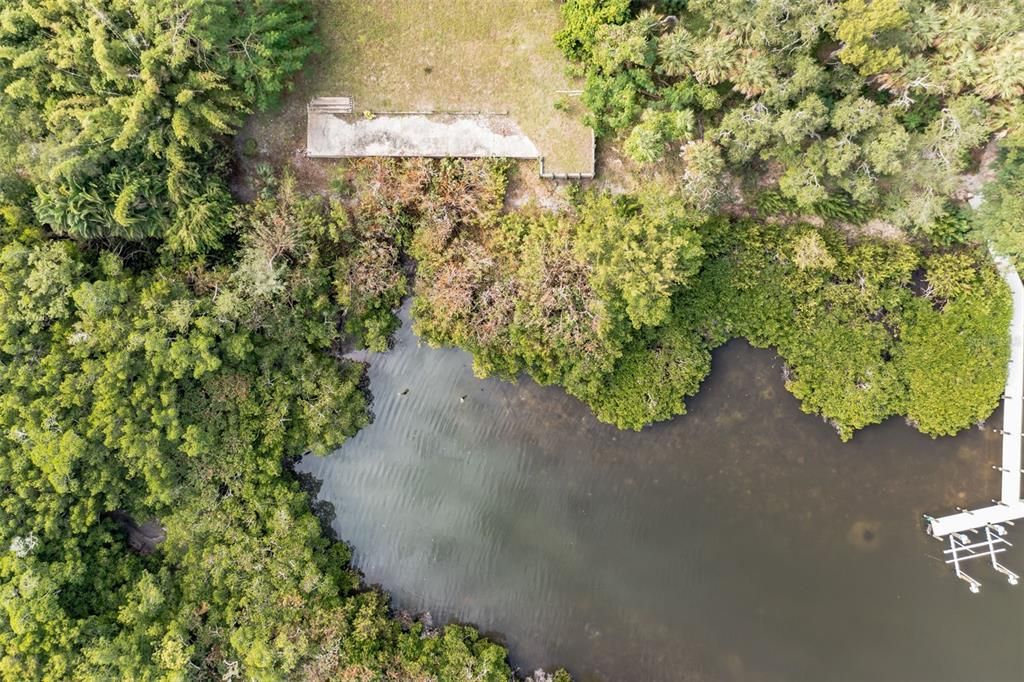 Your sheltered bay surrounded by mangroves teaming with fish.