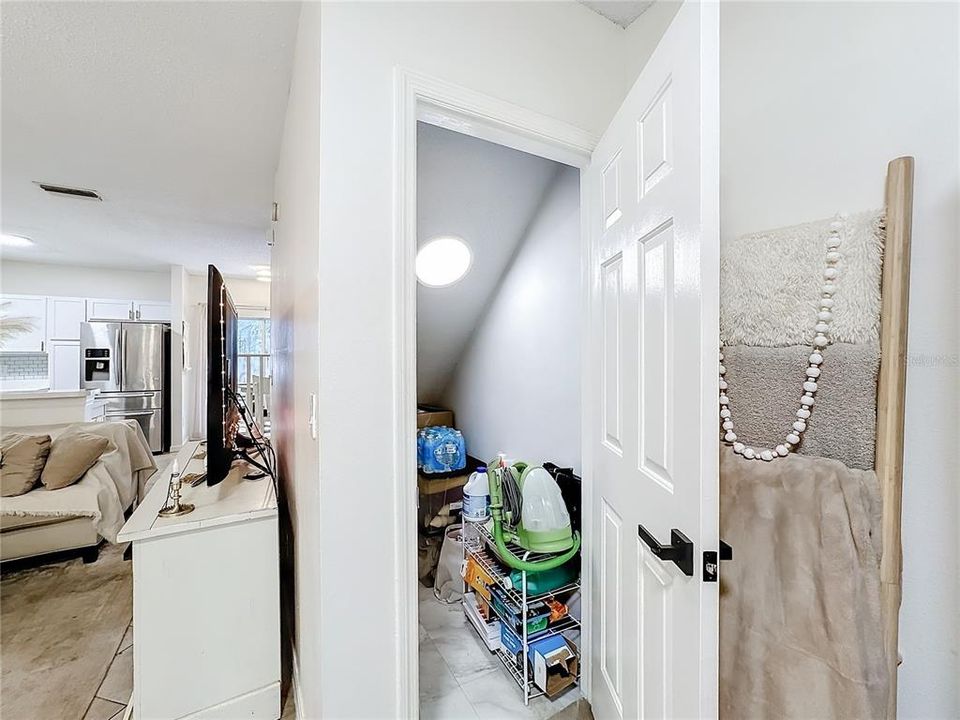 Storage Closet Under the Stairs