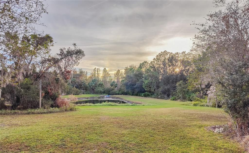 Pond and conservation view