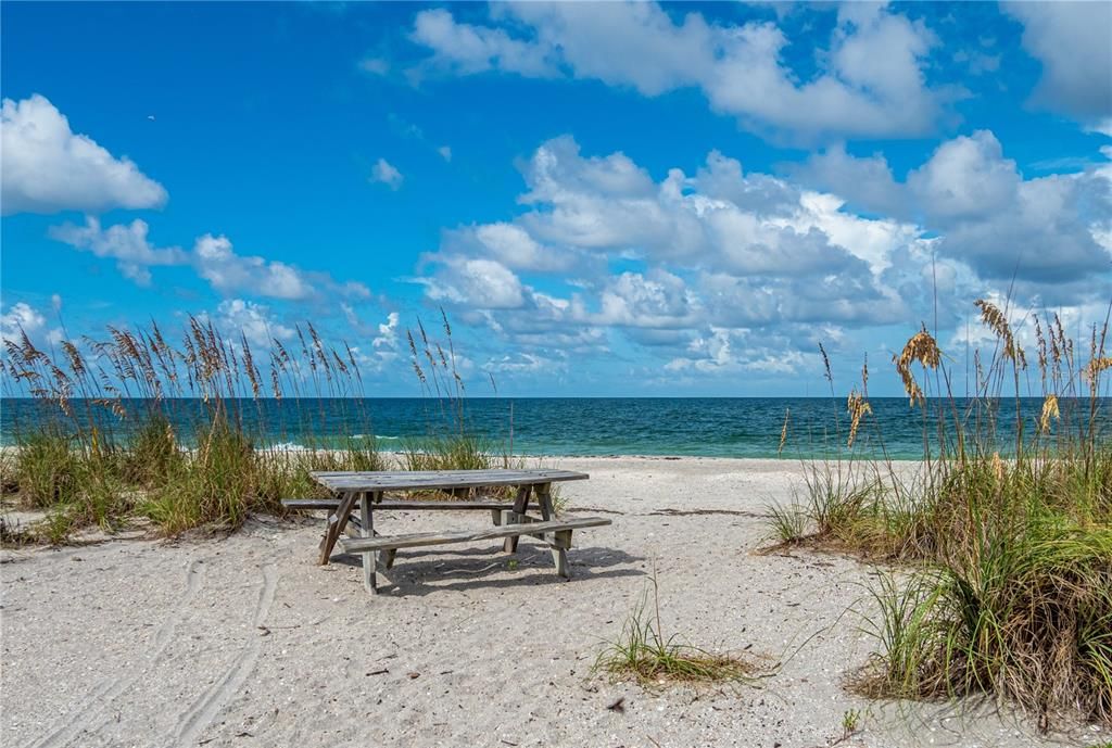 Have lunch on the beach!