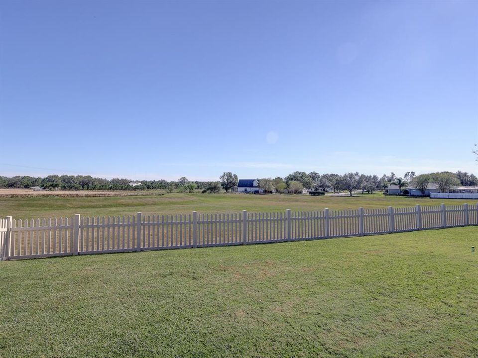 Back yard with vacant field.