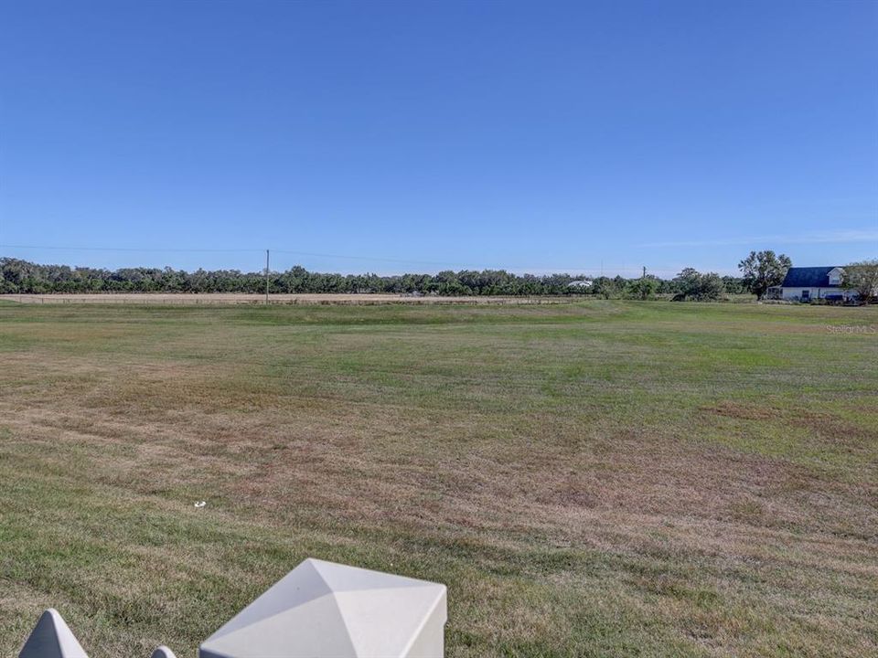 Vacant land behind the home.