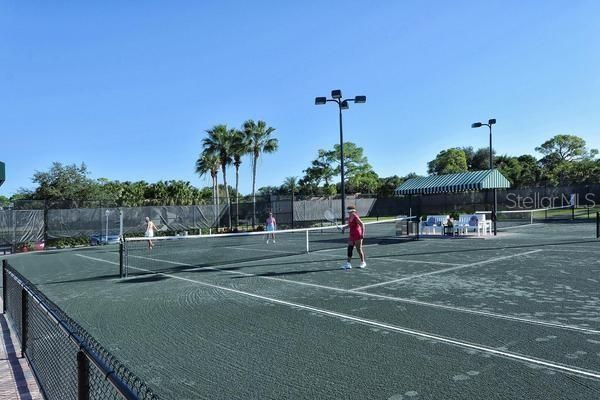 Club Tennis Courts