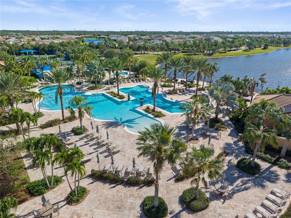 Community Pool and Lounge Area