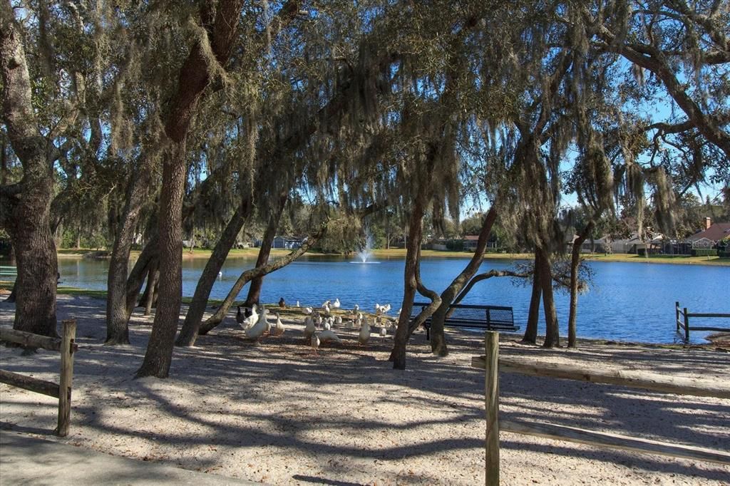 Another Wekiva neighborhood park