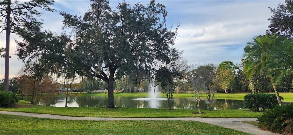 Wekiva pond & walking  trail