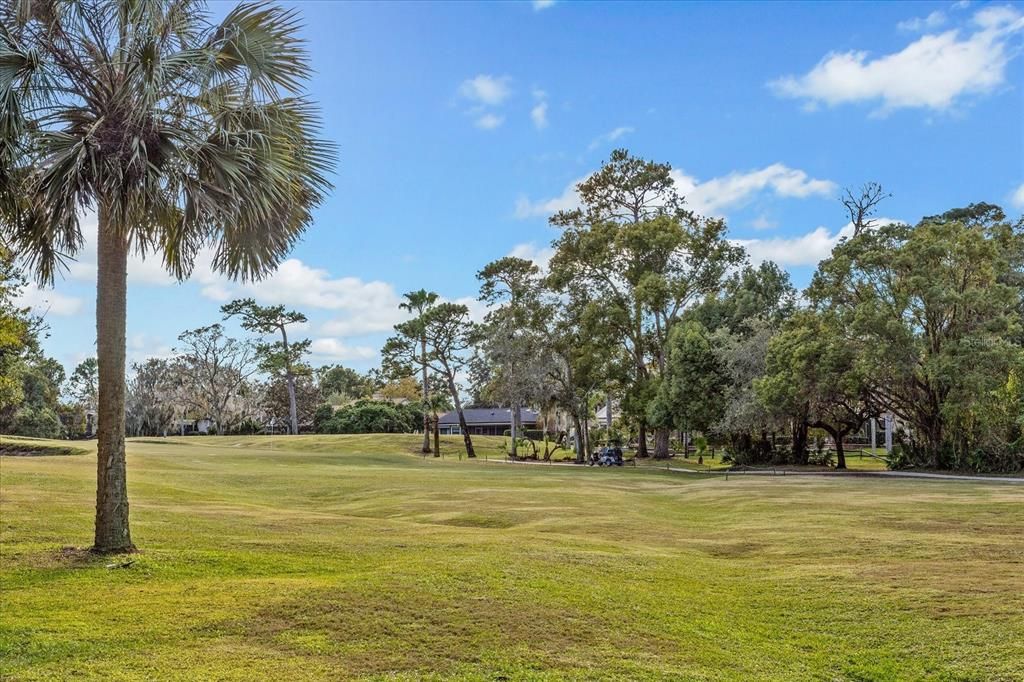 Your golf course view