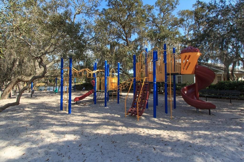 Wekiva neighborhood playground