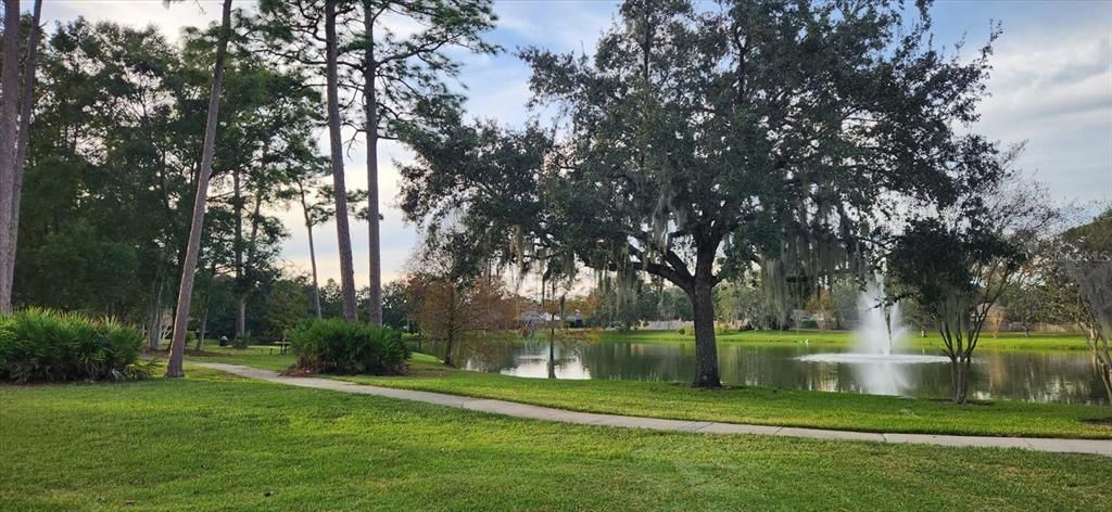 Wekiva pond & walking  trail