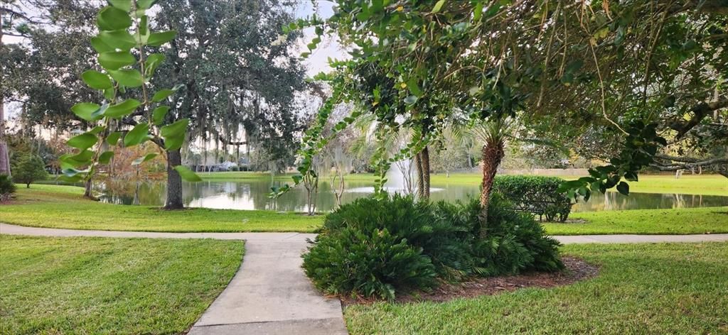 Wekiva pond & walking  trail