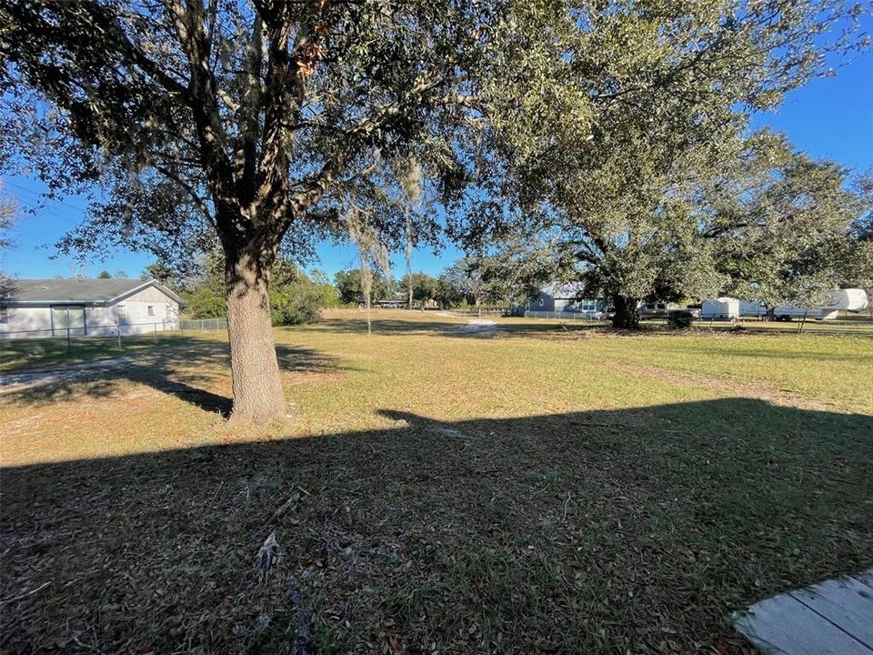 Front yard facing the street