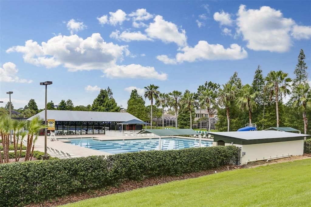 Westchase Pool (1 of 2)