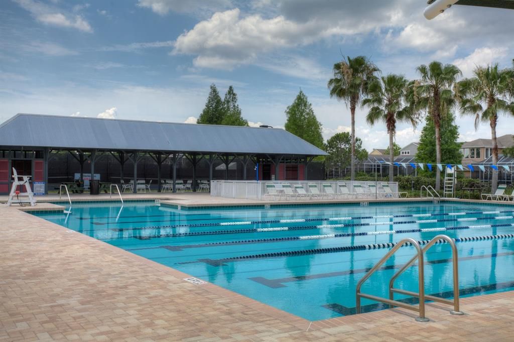 Westchase Pool (1 of 2)