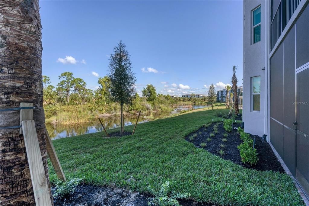 View from back of unit facing the Preserve