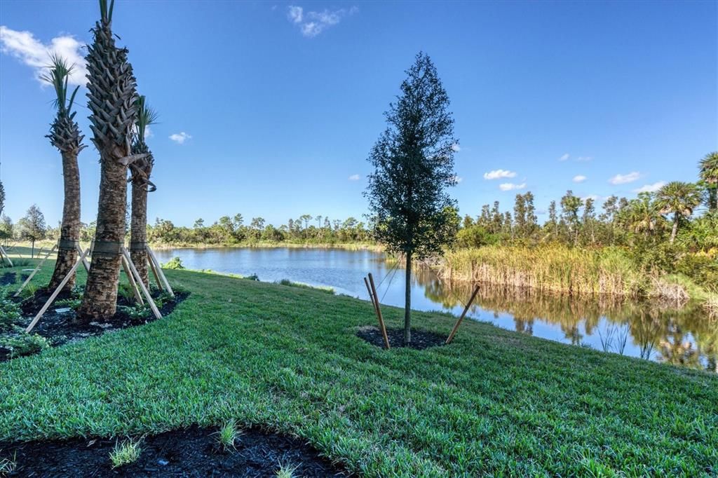 View from back of unit facing the lake