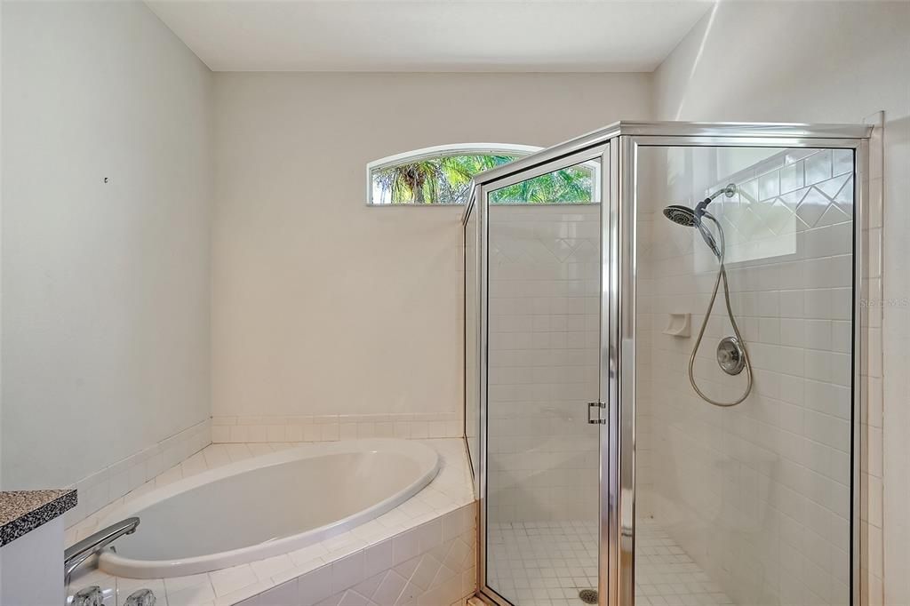 Window for natural light in the primary bath