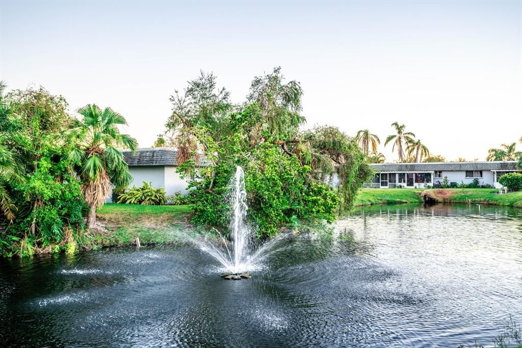 Neighborhood Pond