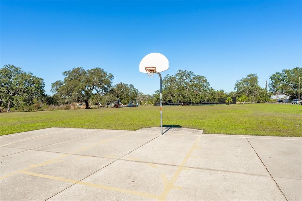 County park across the street