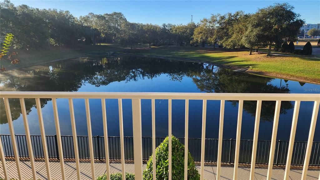 Balcony View