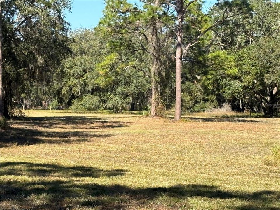 For Sale: $299,000 (12.22 acres)