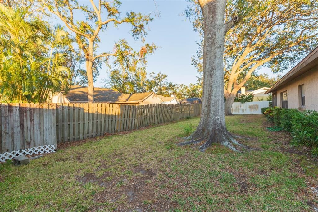 For Sale: $370,000 (3 beds, 2 baths, 1623 Square Feet)