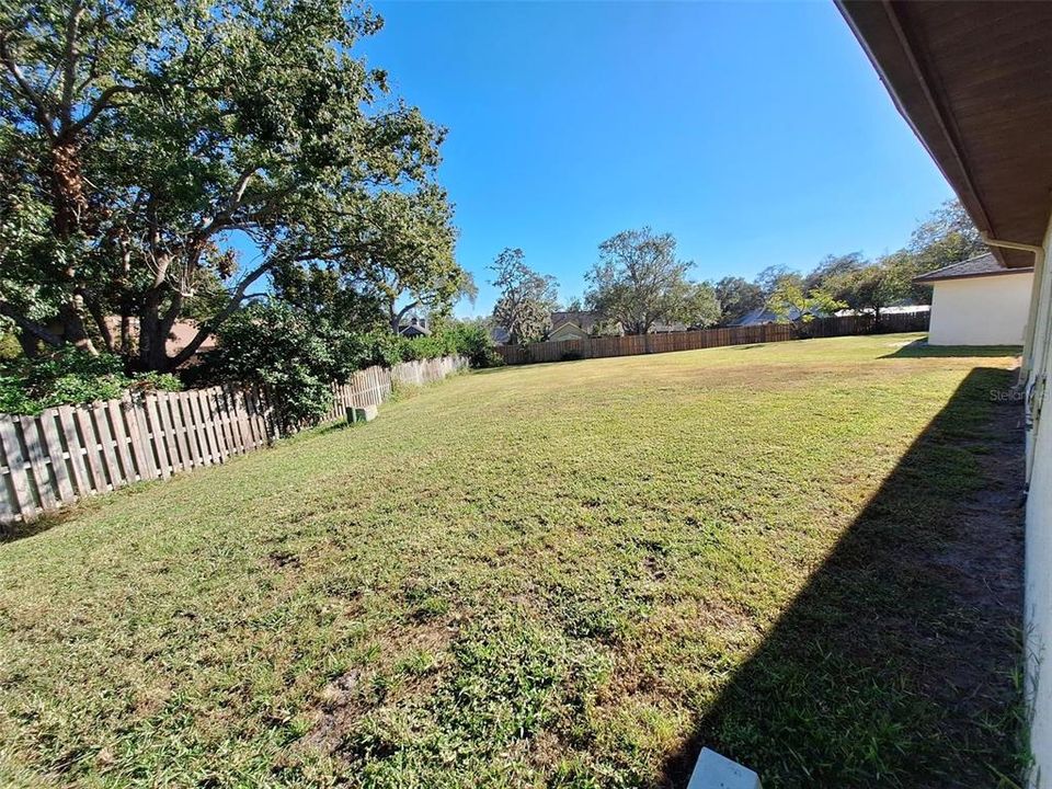 Relaxing green & serene backyard with no rear neighbors~