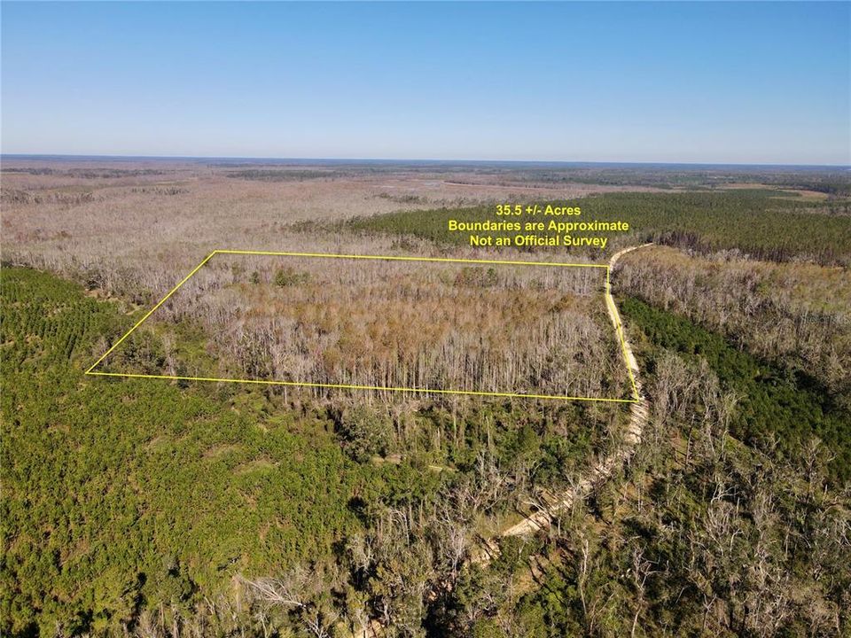 For Sale: $89,990 (35.50 acres)