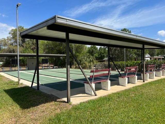 Shuffleboard Courts