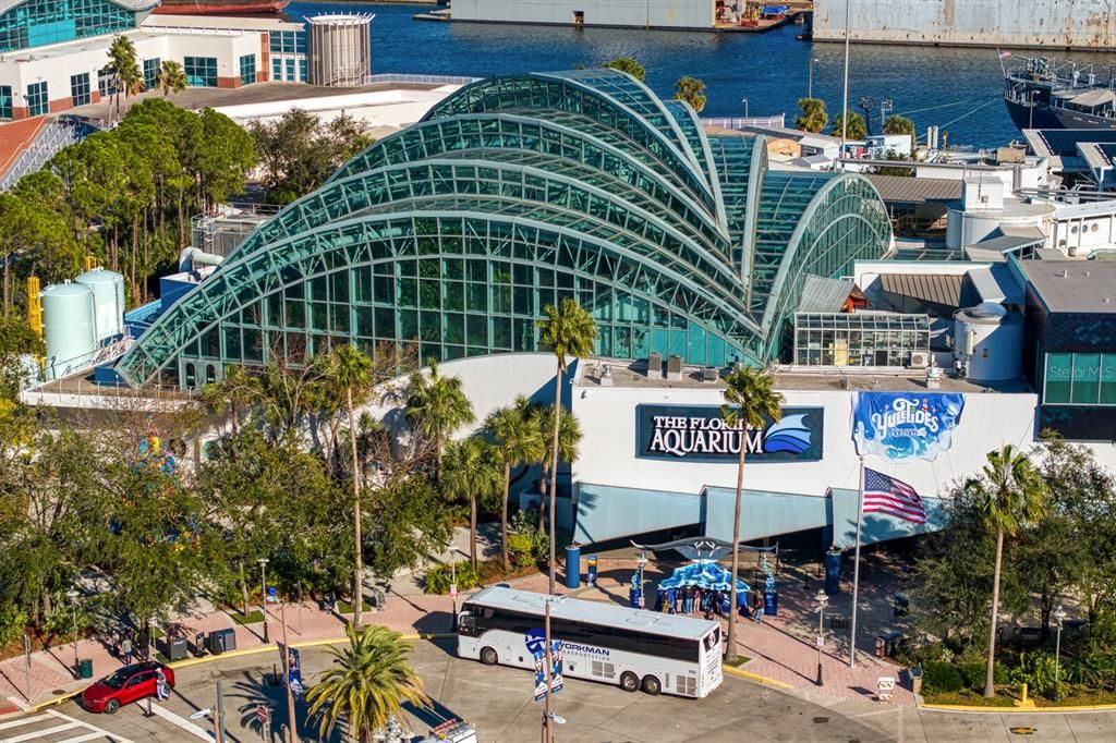 The Florida Aquarium