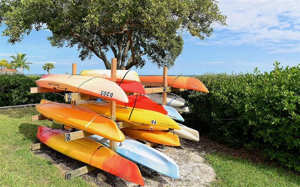 Kayak Storage by North Marina