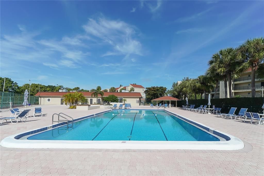 North Large Laps Pool