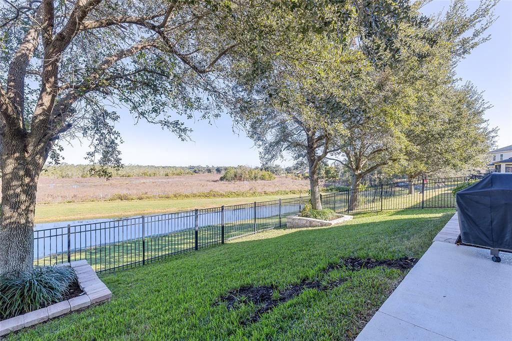 No rear neighbors.  Just the view of the preserve.  There are stone planters around the trees with landscaping.