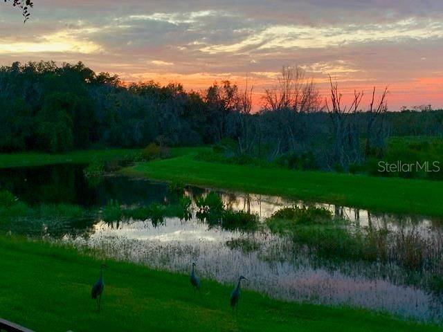 Enjoy the stunning sunsets over the preserve.