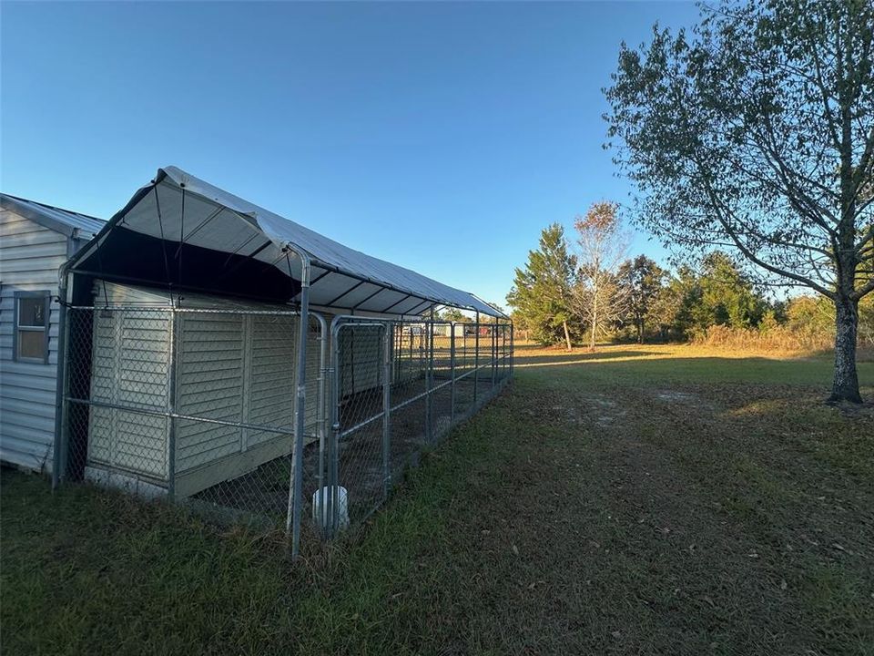 Dog Kennel