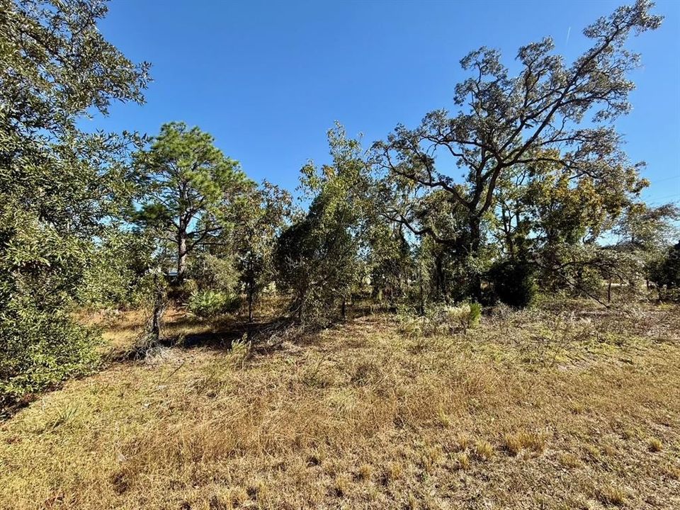 En Venta: $45,000 (0.46 acres)