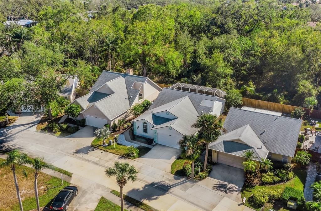 Peaceful preserve behind the home.