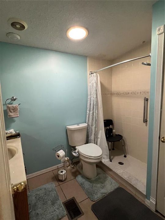 Guest bathroom, and shower