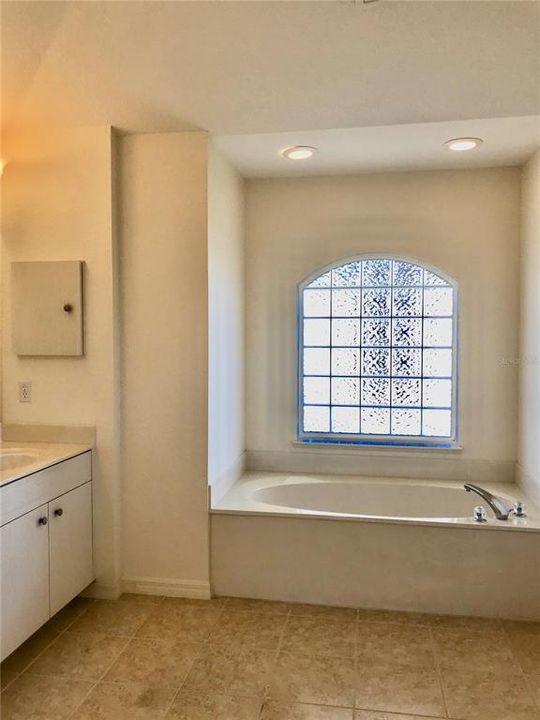 master bath tub