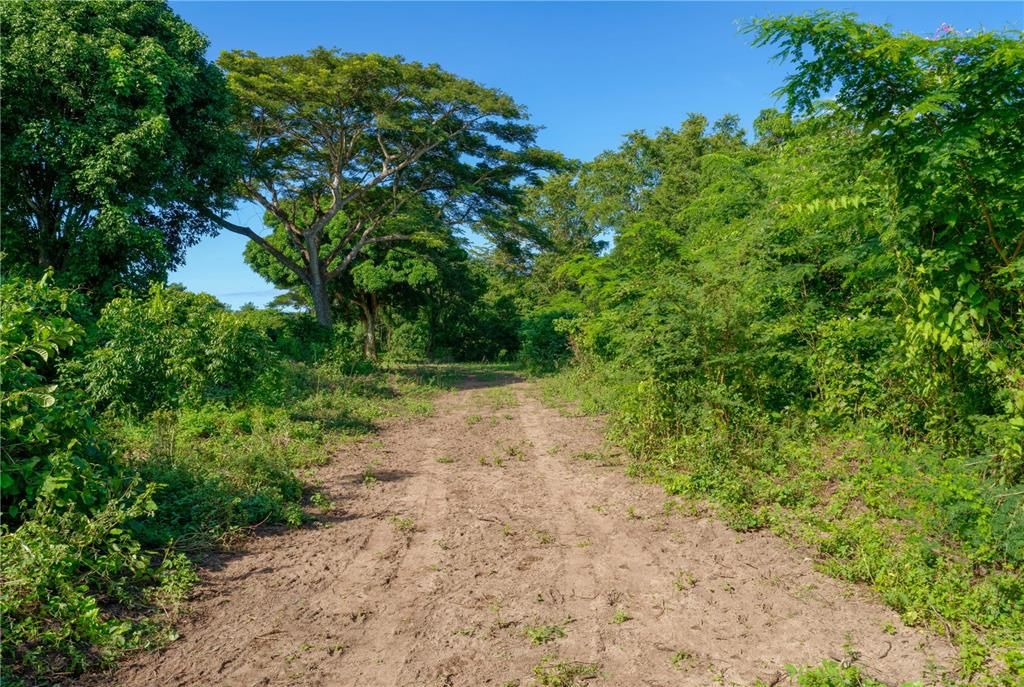 На продажу: $1,000,000 (1.20 acres)