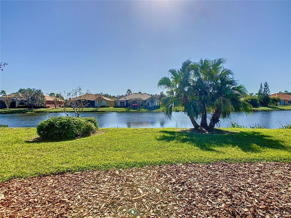 Backyard w/ Water Views!