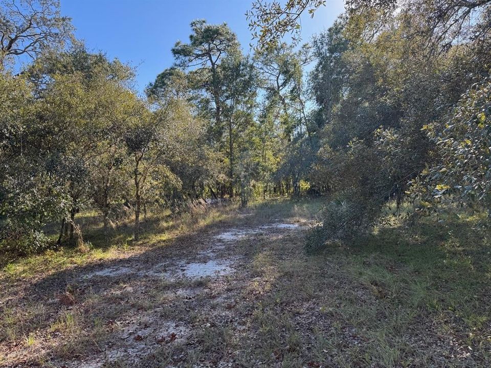 For Sale: $130,000 (1.71 acres)