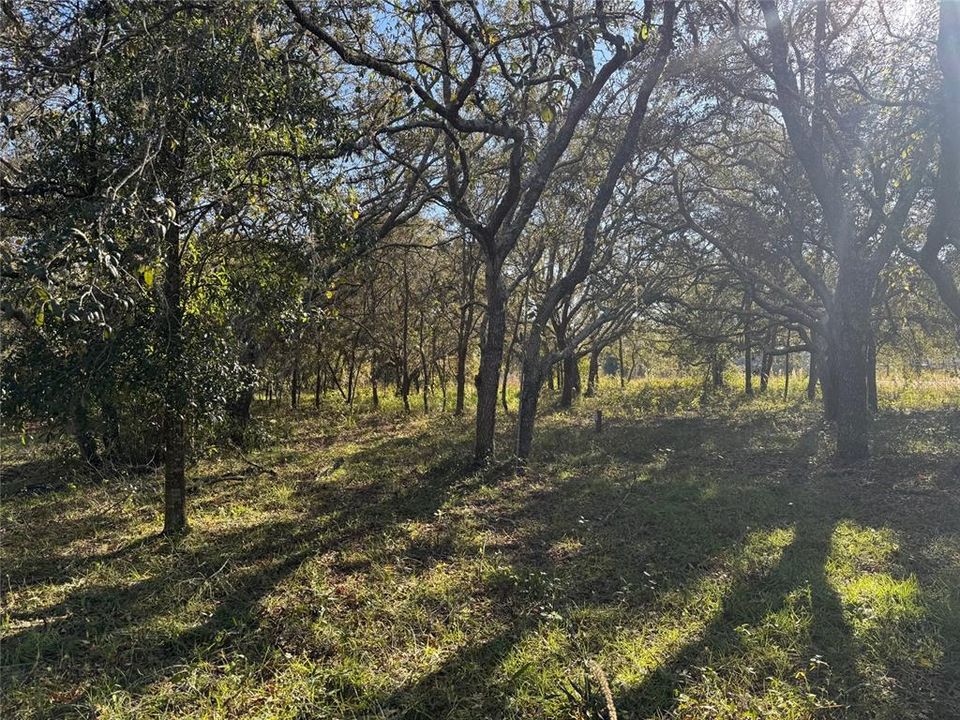 For Sale: $130,000 (1.71 acres)