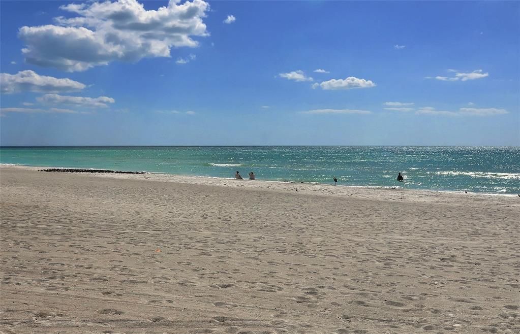 Gulf of Mexico Beach