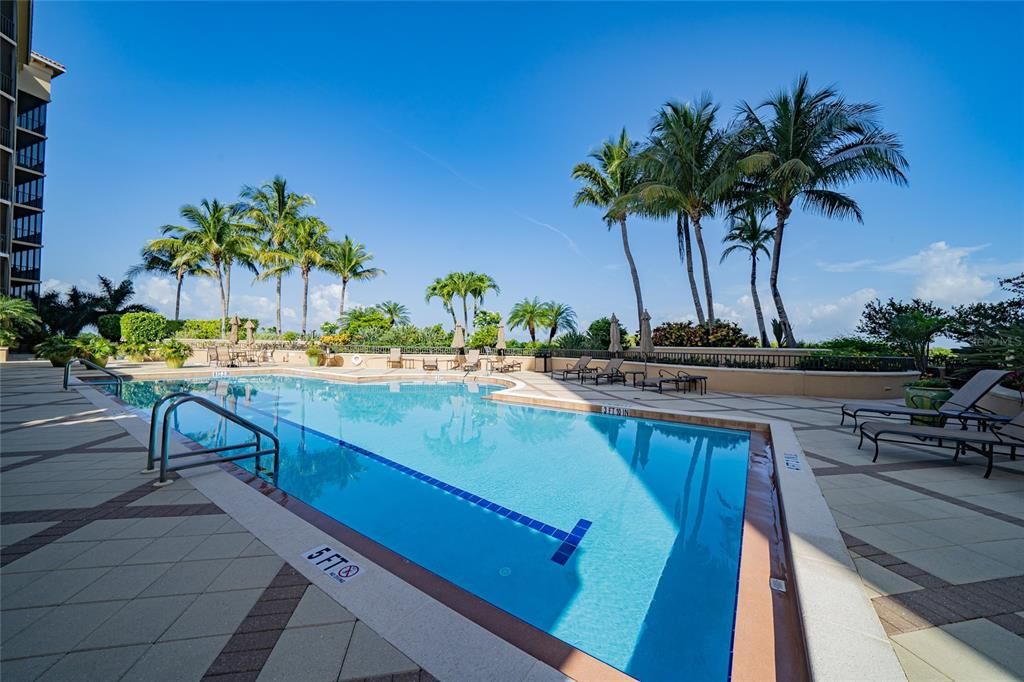 HUGE Olympic sized lap pool and spa.