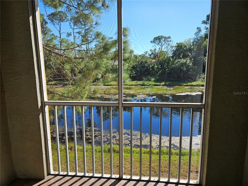 View from lanai to rear