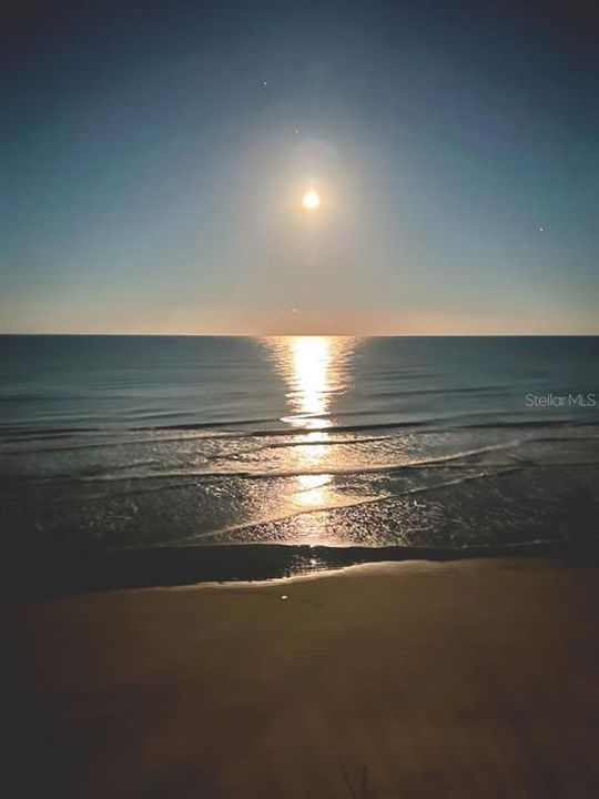 Pelican Ocean Views at Twilight