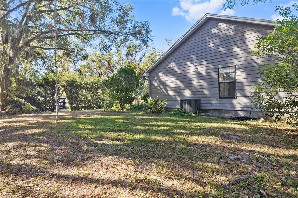 Large Side Yard, Rope Swing